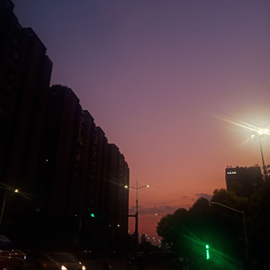 清风胡杨(一)夏冰
